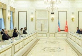 Председатель Милли Меджлиса Сахиба Гафарова встретилась с бывшим премьер-министром Турции Бинали Йылдырымом