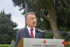 Фуат Октай: Турция готова делиться с Азербайджаном всеми своими оборонными возможностями