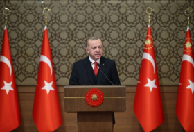 Эрдоган: Флаг борьбы не опустится вплоть до освобождения всего Карабаха
