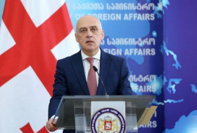 Глава МИД Грузии: Мы готовы сотрудничать с Азербайджаном в мирном процессе