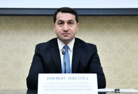 Хикмет Гаджиев: Мы решительно осуждаем нападки армянского лобби на свободные СМИ, свободу выражения - ФОТО