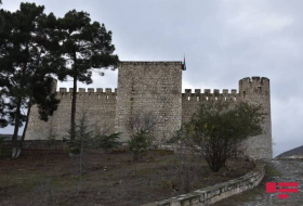 Армяне разрушили крепость, разграбили музей в Шахбулаге - ФОТО