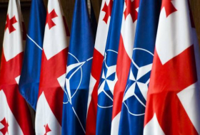 Парламент Грузии принял резолюцию об интеграции в НАТО