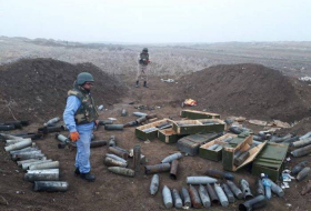 На освобожденных территориях Азербайджана обнаружены боеприпасы 