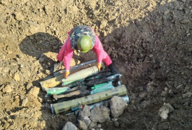 ANAMA: С начала Отечественной войны и по сей день обнаружено 4 546 противопехотных мин
