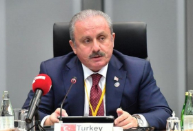 Председатель ВНСТР: Турция во всех конфликтах бывает на стороне того, кто прав