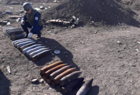 ANAMA обнаружила 126 неразорвавшихся боеприпасов