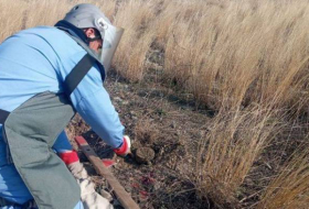 На прифронтовых территориях Азербайджана обнаружено 270 неразорвавшихся боеприпасов - ФОТО