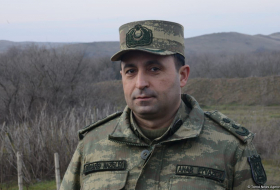 Анар Эйвазов: Продолжается разминирование освобожденных территорий Азербайджана 