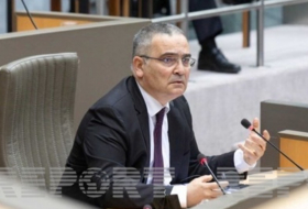 Бельгийские парламентарии обсудили Карабахскую войну