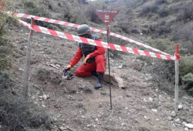 За три месяца текущего года 36 человек в Азербайджане пострадали от мин и неразорвавшихся боеприпасов