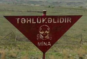 Агентство по разминированию: За прошлую неделю на освобожденных территориях обнаружено 100 мин
 