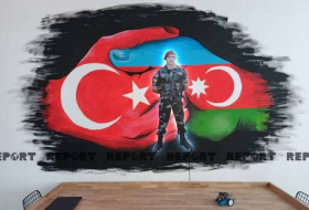В одном из профтехучилищ Турции увековечена память Мубариза Ибрагимова