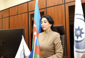 Омбудсмен АР проинформирует международные организации о нарушении Арменией режима прекращения огня