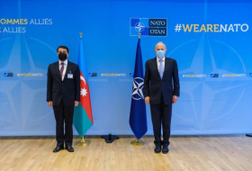 Помощник президента Азербайджана встретился с заместителем генсека НАТО