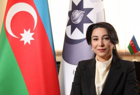 Омбудсмен Азербайджана распространила обращение в связи с гибелью в результате подрыва на мине гражданских лиц