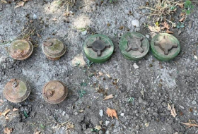 В Зангиланском районе обнаружены неразорвавшиеся мины