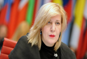 Комиссар Совета Европы по правам человека призвала к разминированию освобожденных территорий