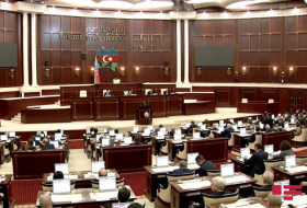 Депутат: МИД Азербайджана должен потребовать ликвидацию института сопредседательства