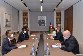 Глава МИД Азербайджана проинформировал посла Сомали об армянском вандализме 