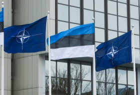 МИД Эстонии перед саммитом призвал членов НАТО тратить на оборону не менее 2% ВВП