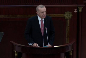 Эрдоган: Турция готова задействовать все ресурсы для поддержки Азербайджана