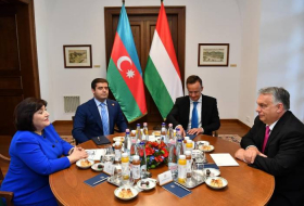 Спикер ММ Азербайджана поблагодарила венгерскую сторону за помощь в разминировании освобожденных от оккупации территорий