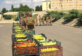 В Шарурском районе военнослужащим передали урожай овощей и фруктов - ФОТО