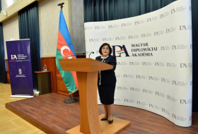 Сахиба Гафарова призвала международное сообщество оказать давление на Армению для выдачи минных карт