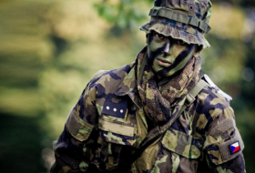 Чешские солдаты под руководством Германии будут охранять Литву
