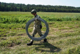 СМИ: Силы обороны Эстонии направили Литве 50 км колючей проволоки для охраны границы