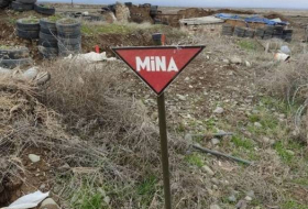 На территории железной дороги Физули-Зангилан обнаружены 1 323 мины и 14 неразорвавшихся боеприпасов
 