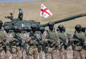 В Грузии пройдут военные учения стран НАТО с участием Азербайджана
