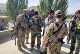 Глава Минобороны Британии раскритиковал решение США о выводе войск из Афганистана