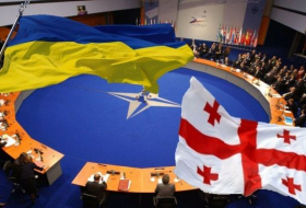 Украина и Грузия станут членами Альянса - замгенсека НАТО