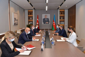 Глава МИД Азербайджана встретился с замминистра иностранных дел Турции