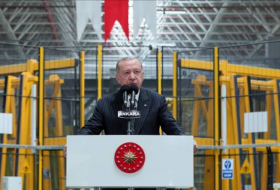 Эрдоган: Турция рассчитывает на мировое лидерство в сфере БПЛА