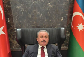 Председатель ВНСТ направил поздравление по случаю 103-й годовщины освобождения Баку