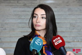 Лейла Абдуллаева: Мы обратимся в суд для привлечения Армении к ответственности
