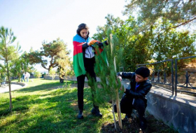 Дети шехидов посадили деревья в Шуше - Фото