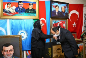 Посол Турции встретился с матерью Полада Гашимова - Фото