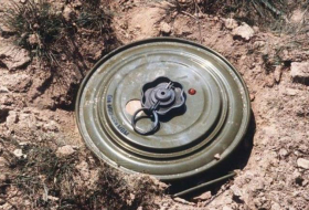 ANAMA: На освобожденных территориях обнаружено еще 30 мин