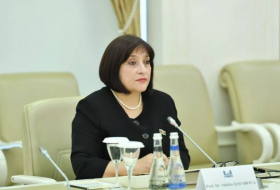 Сахиба Гафарова: Армения не прекращает совершать провокации