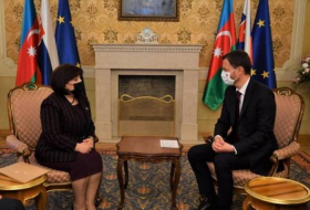 Сахиба Гафарова обсудила Карабах с премьер-министром Словакии