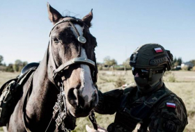 Конные патрули территориальной обороны Польши охраняют границу с Белоруссией