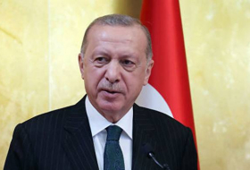 Эрдоган: Союзнику Турции по НАТО не пристало оказывать помощь террористам