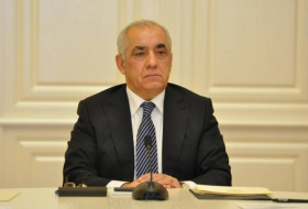 Али Асадов назвал количество армянских диверсантов, отбывающих наказание в Азербайджане