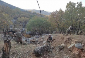 На востоке Турции начался очередной этап антитеррористической операции Eren Kış