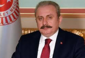 Председатель парламента Турции выразил соболезнования азербайджанскому народу в связи с крушением вертолета