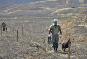 В Азербайджане 97 человек пострадали от мин и неразорвавшихся боеприпасов